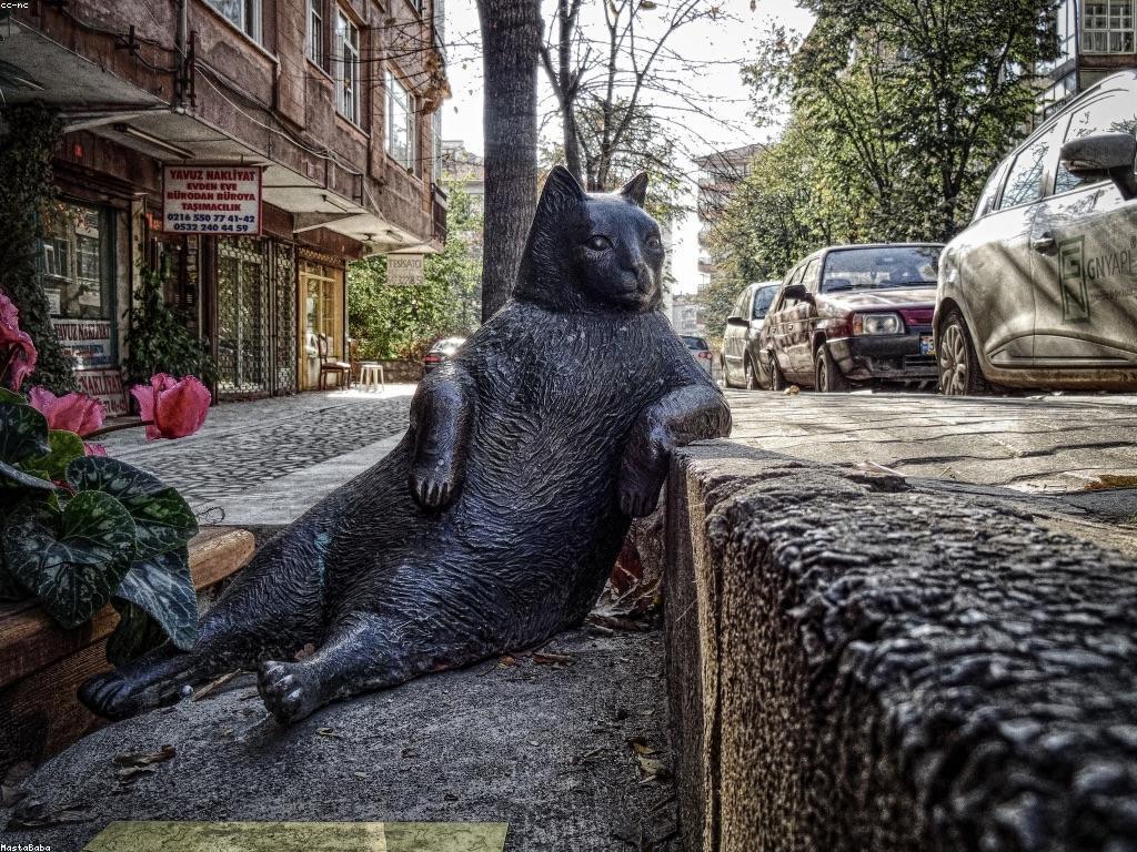 ការពិភាក្សាអំពី Spin